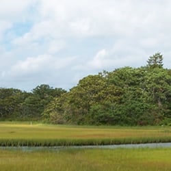 Mashpee National Wildlife Refuge