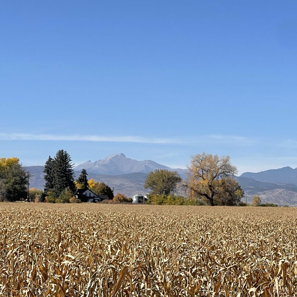 VT Pumpkin Patch - Pumpkin Patches Near Me - Longmont, Colorado VT Pumpkin Patch - Pumpkin Patches Near Me - Longmont, Colorado
