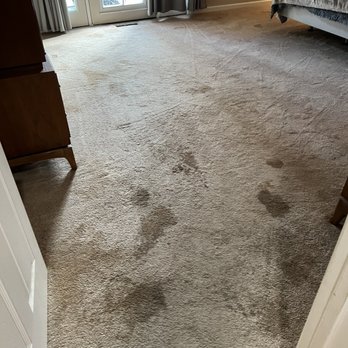 Heaven's Best Carpet Cleaning - Gross and nasty - Carpet Cleaning Near Me Heaven's Best Carpet Cleaning - Gross and nasty - Carpet Cleaning Near Me