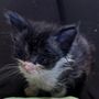 Photo of Oxford Hills Veterinary Hospital