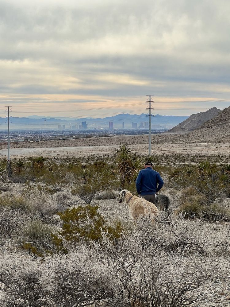 Vegas K9 Adventures - pet boarding facility in Las Vegas, NV