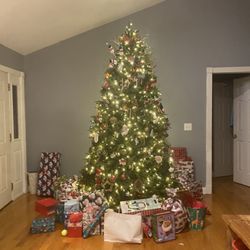China Wall - Christmas 2023
