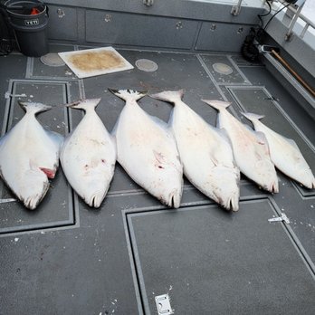 Alaska Hooksetters Lodge - Halibut catch - Tours Near Me - Kenai, Alaska