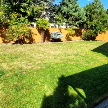 Patrick Lawncare - Lawn Services Near Me Patrick Lawncare - Lawn Services Near Me