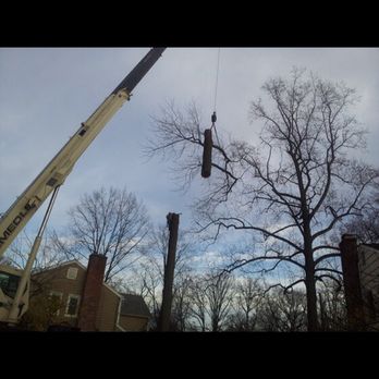 Above the Ground Tree Care - Removing a large tulip tree with a crane. - Tree Services Near Me - West Haven, Connecticut Above the Ground Tree Care - Removing a large tulip tree with a crane. - Tree Services Near Me - West Haven, Connecticut
