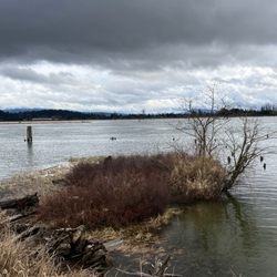 Deboville Slough