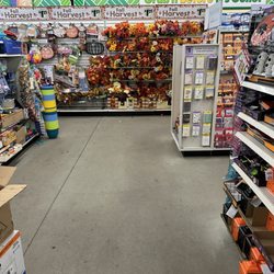 Dollar Tree - Fall goods!