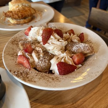 Vicious Biscuit - Beignets - Coffee & Tea Near Me - Mount Pleasant, South Carolina Vicious Biscuit - Beignets - Coffee & Tea Near Me - Mount Pleasant, South Carolina