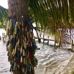 Honest John's Fish Camp