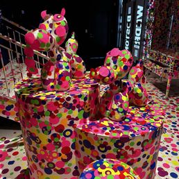 Polka dot dog