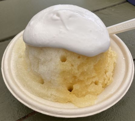 Aloha General by null