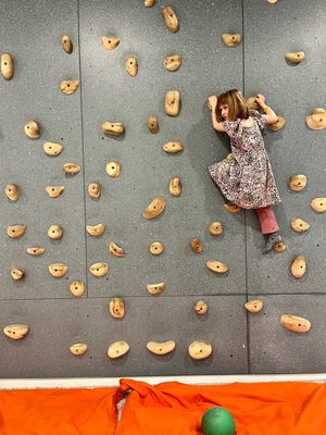 The Lane Ivy City by null