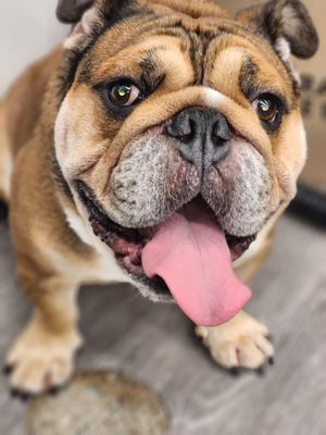 Burger District LA by null