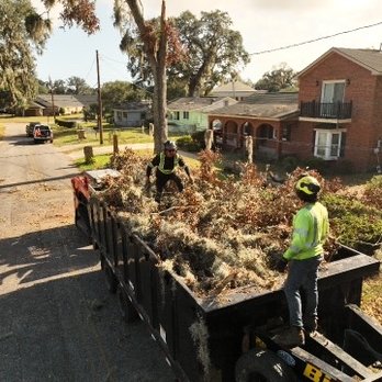Sierra Tree Company - Hauling debris after the tree work. - Tree Services Near Me - Rohnert Park, California Sierra Tree Company - Hauling debris after the tree work. - Tree Services Near Me - Rohnert Park, California