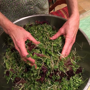 Rainbow Hearth Sanctuary and Retreat - Sprout salad made with love! - Bed & Breakfast Near Me - Burnet, Texas Rainbow Hearth Sanctuary and Retreat - Sprout salad made with love! - Bed & Breakfast Near Me - Burnet, Texas