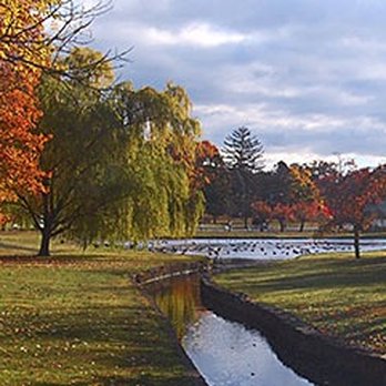 Paramount Dental Arts - General Dentistry Near Me - Clifton, New Jersey Paramount Dental Arts - General Dentistry Near Me - Clifton, New Jersey