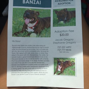 Petco - Banzai's Flyer! - Pet Training Near Me - Port Richey, Florida Petco - Banzai's Flyer! - Pet Training Near Me - Port Richey, Florida
