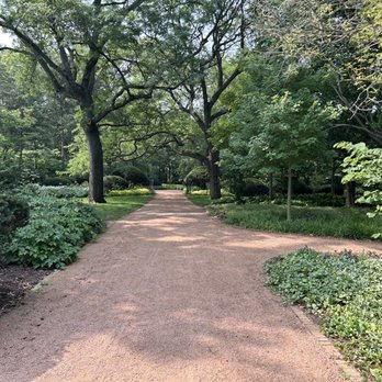 Cantigny - A gravel park pathway lined with trees and shrubs, with sunlight filtering through the leaves, creating a tranquil outdoor scene. - Museums Near Me - Wheaton, Illinois