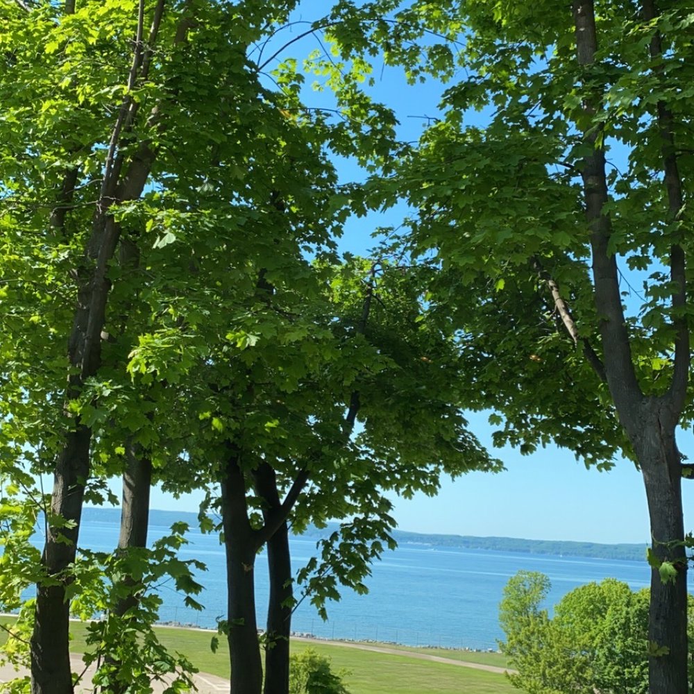 The Beacon - Dining room views - New American Near Me - Petoskey, Michigan The Beacon - Dining room views - New American Near Me - Petoskey, Michigan