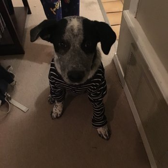 Holistic Pet Care Center Of Oklahoma Request Information Veterinarians 3001 Tinker Diagonal St Del City Ok Phone Number Yelp