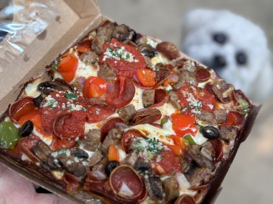 Steel Pan Pizza by null