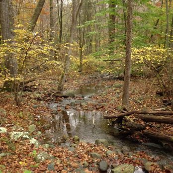 White Oak Canyon Trail - View along trail - Hiking Near Me - Syria, Virginia