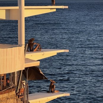Le Plongeoir - Famous diving boards - Mediterranean Near Me - Nice, 06