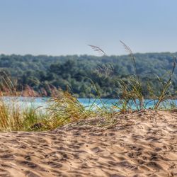 The City of Petoskey - At the state park