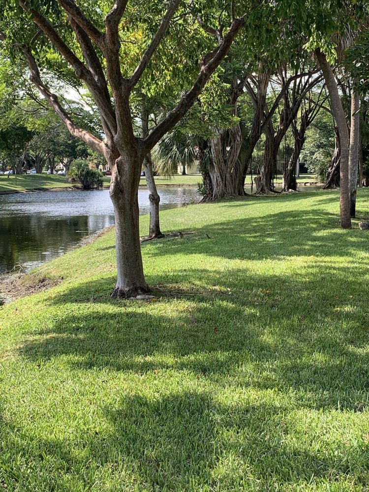 BRIGHTVIEW LANDSCAPE Updated September 2024 12 Photos 2711 SW 36th St, Fort Lauderdale