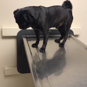 VCA Olympic Animal Hospital - Veterinarians Near Me - Silverdale, Washington VCA Olympic Animal Hospital - Veterinarians Near Me - Silverdale, Washington