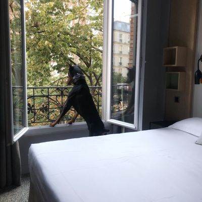 Chouette Hôtel by null