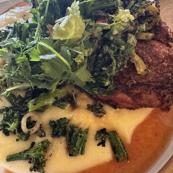 Daisy Bar - Half Chicken - Coffee & Tea Near Me - Indianapolis, Indiana Daisy Bar - Half Chicken - Coffee & Tea Near Me - Indianapolis, Indiana