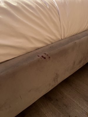 Selina Miami Gold Dust by null