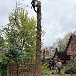 Peak Tree Care