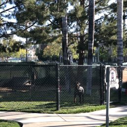 Bark Park! Bark Park!