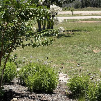 Covington Cellars - Wine Tasting Room Near Me - Hye, Texas