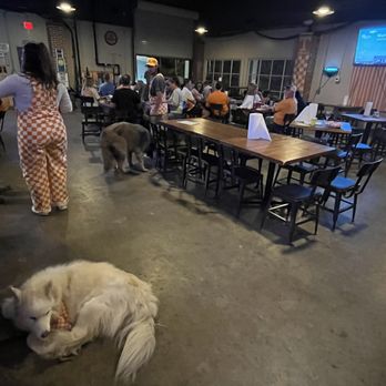 Hole In The Wall Pizza - Cute dogs and lots of tables - Pizza Near Me - Knoxville, Tennessee Hole In The Wall Pizza - Cute dogs and lots of tables - Pizza Near Me - Knoxville, Tennessee