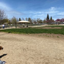 Bear Dog Park - 04.08.23 Beautiful sunny day out here!