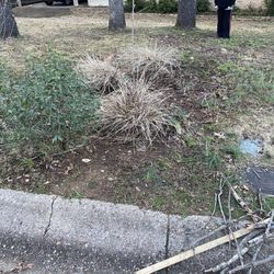 Photo of Going The Extra Mile Landscaping & Lawn Maintenance - Little Rock, AR, US. Flowerbed updating needed