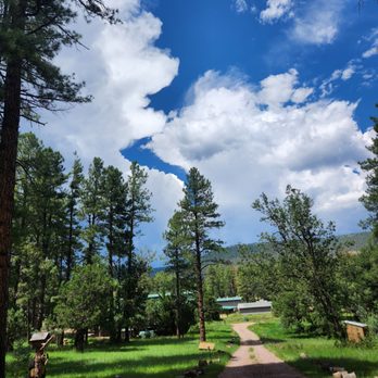 Mountain Meadows Cabins - Looking down the driveway - Hotels Near Me - Payson, Arizona Mountain Meadows Cabins - Looking down the driveway - Hotels Near Me - Payson, Arizona
