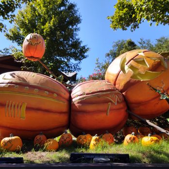 Dollywood - Big Pumpkins!!!! - Amusement Parks Near Me - Pigeon Forge, Tennessee Dollywood - Big Pumpkins!!!! - Amusement Parks Near Me - Pigeon Forge, Tennessee
