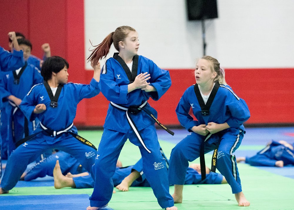 USTA MARTIAL ARTS Updated June 2024 12 Photos 1509 Riverside Dr