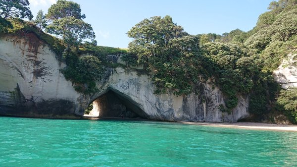 Whitianga Ferry by null