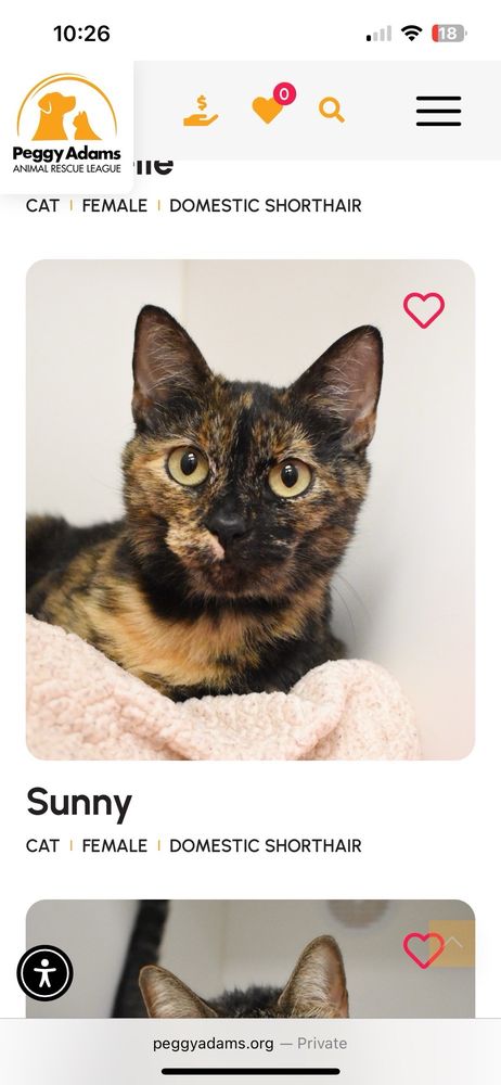 Peggy Adams Animal Rescue League Image