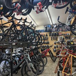 Sports LTD - Bikes they had available
