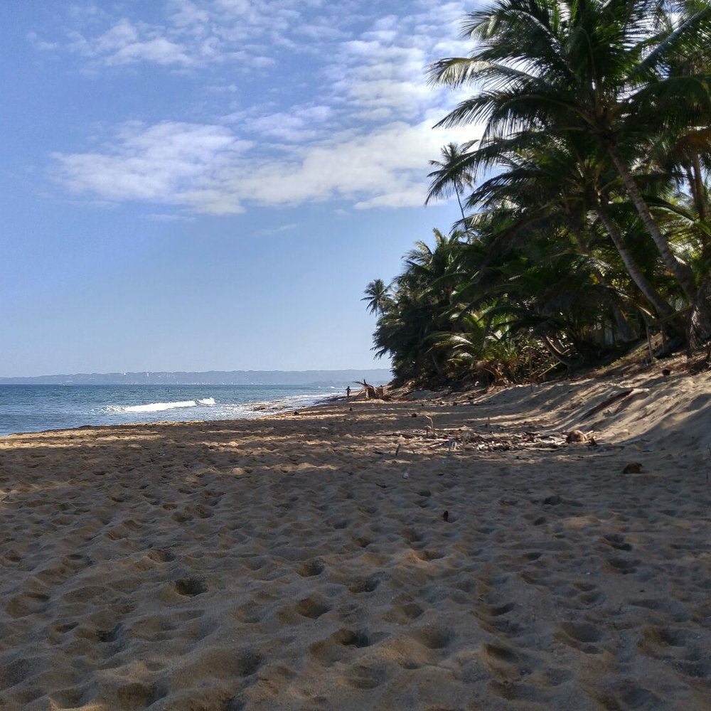 Sandy Beach - Beaches Near Me - Puntas, Puerto Rico