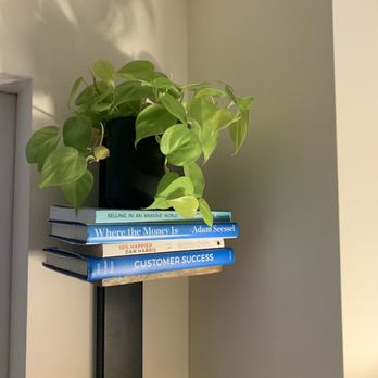 Living With Green - One of the 3 plants I purchased + pot - Nurseries & Gardening Near Me - New York, New York Living With Green - One of the 3 plants I purchased + pot - Nurseries & Gardening Near Me - New York, New York
