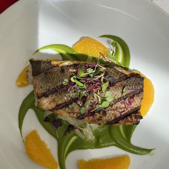 Il Cielo - Branzino - Italian Near Me - Beverly Hills, California Il Cielo - Branzino - Italian Near Me - Beverly Hills, California