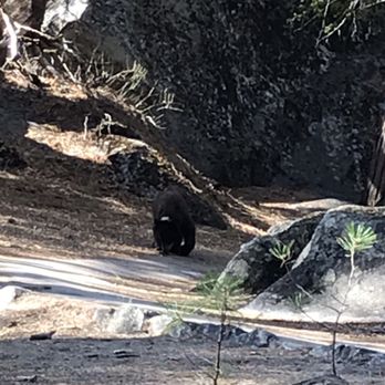 Mirror Lake - Surprise visit. He's tagged. - Hiking Near Me Mirror Lake - Surprise visit. He's tagged. - Hiking Near Me