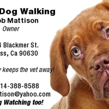 Jake's Dog Walking - my business card - Dog Walkers Near Me